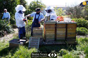 مدیریت علمی بر زنبورستان